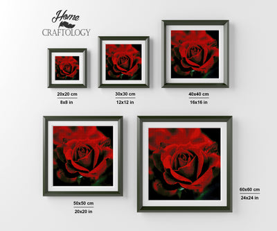 Red Rose - Premium Diamond Painting Kit