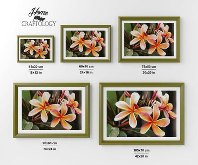 Plumeria Flower - Premium Diamond Painting Kit