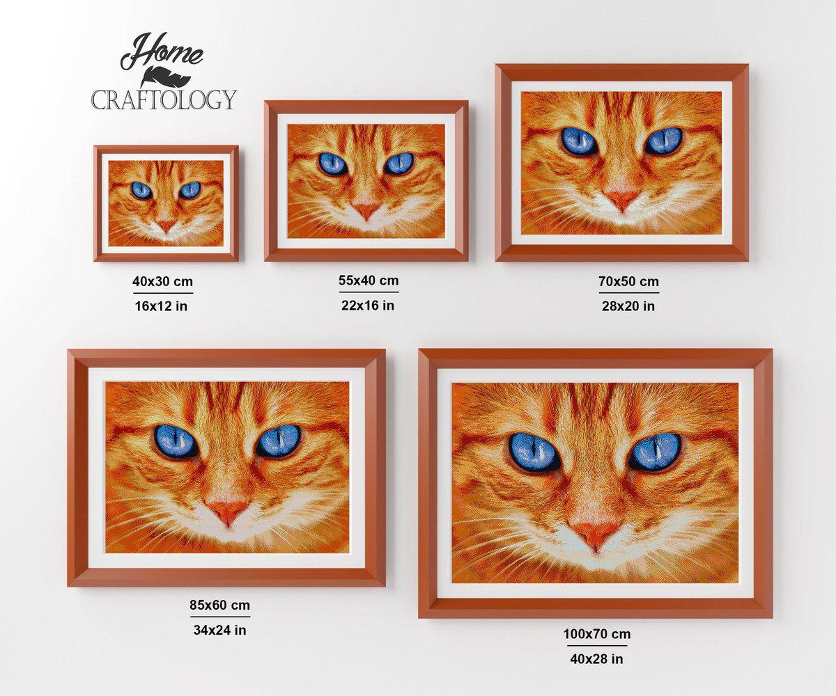 Cat with Bright Blue Eyes - Premium Diamond Painting Kit