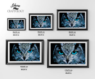 Blue Eyed Owl - Premium Diamond Painting Kit