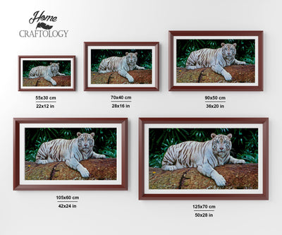 White Tiger - Premium Diamond Painting Kit