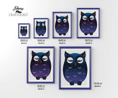 Sleeping Owl - Premium Diamond Painting Kit