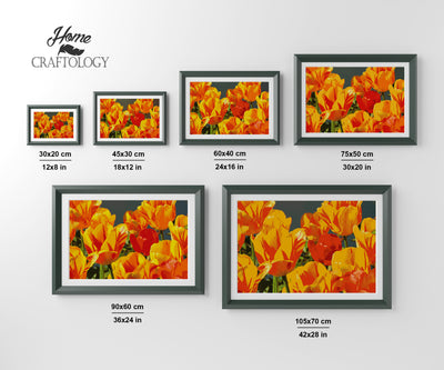 Yellow and Red Tulips - Premium Diamond Painting Kit