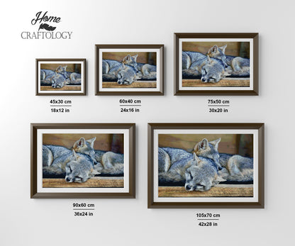 New! Silver Fox - Premium Diamond Painting Kit