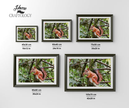 Red Squirrel - Premium Diamond Painting Kit