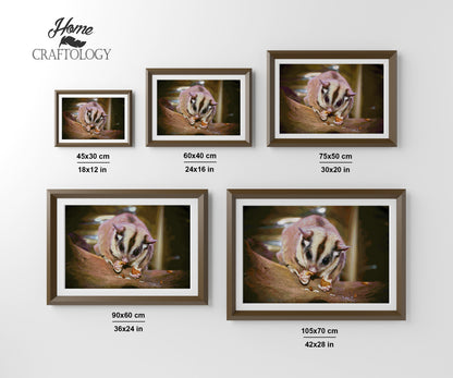 Sugar Glider - Premium Diamond Painting Kit