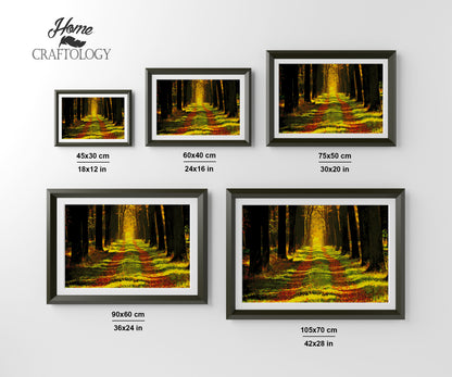 Forest Path - Premium Diamond Painting Kit