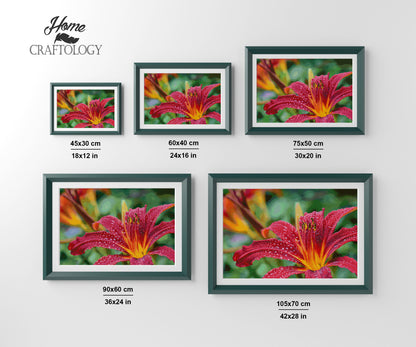 Daylily - Premium Diamond Painting Kit