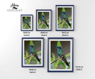 Hummingbird Resting - Premium Diamond Painting Kit