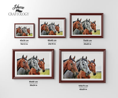 Three Horses - Premium Diamond Painting Kit