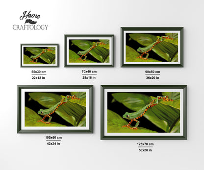 Balancing Frog - Premium Diamond Painting Kit