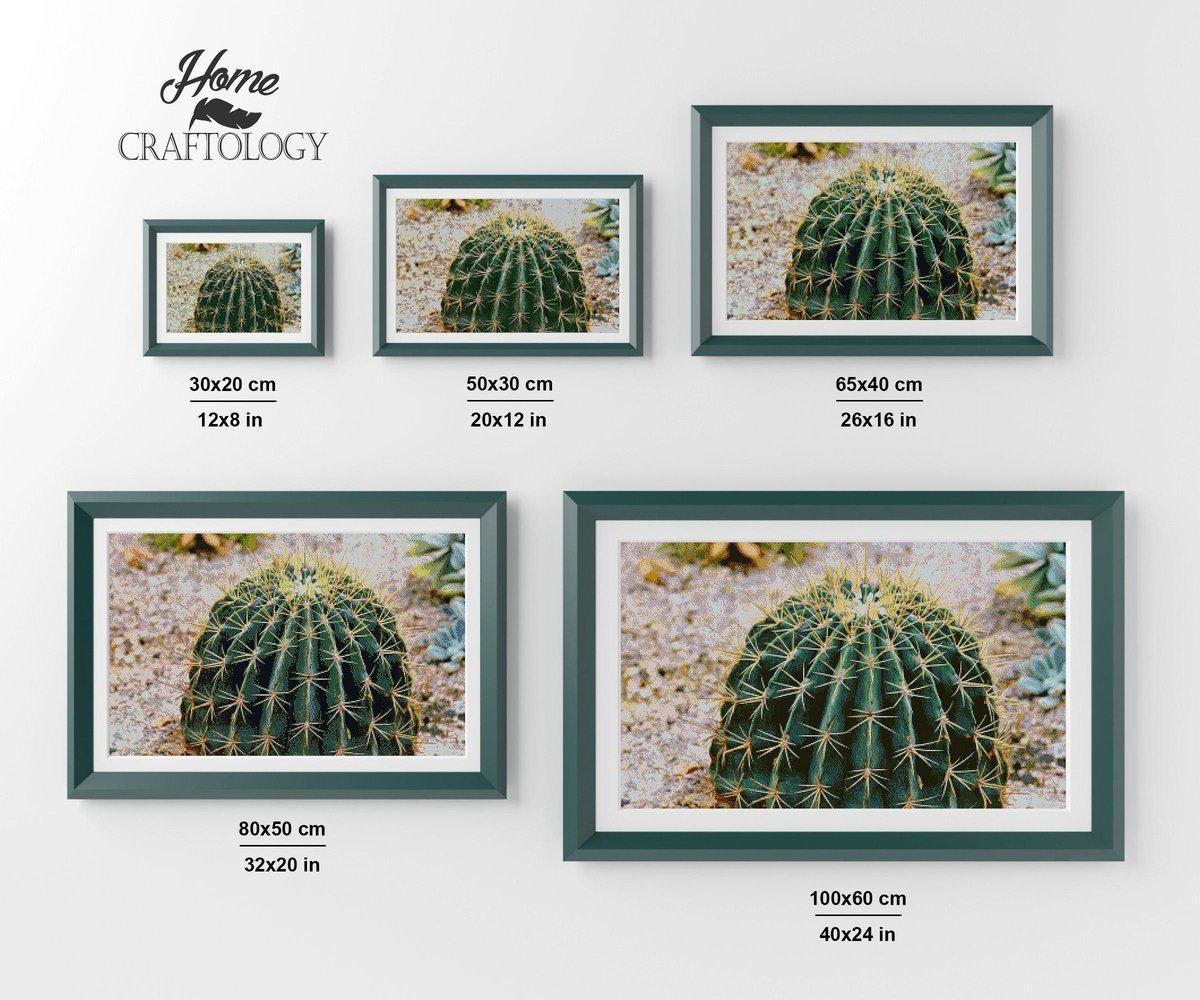 Barrel Cactus - Premium Diamond Painting Kit