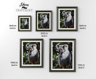 Cute Koala - Premium Diamond Painting Kit