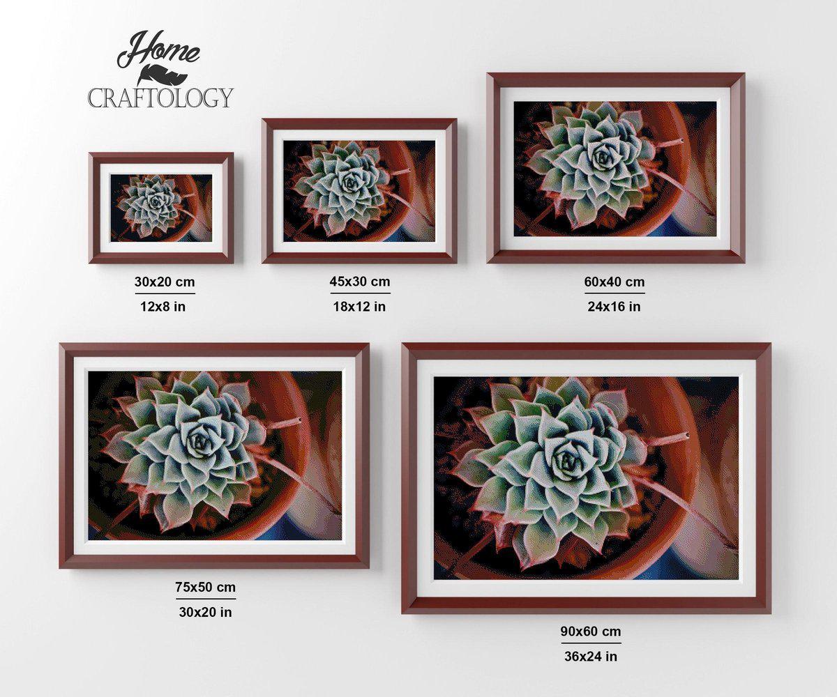 Afterglow Succulent - Premium Diamond Painting Kit