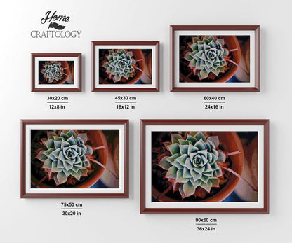 Afterglow Succulent - Premium Diamond Painting Kit