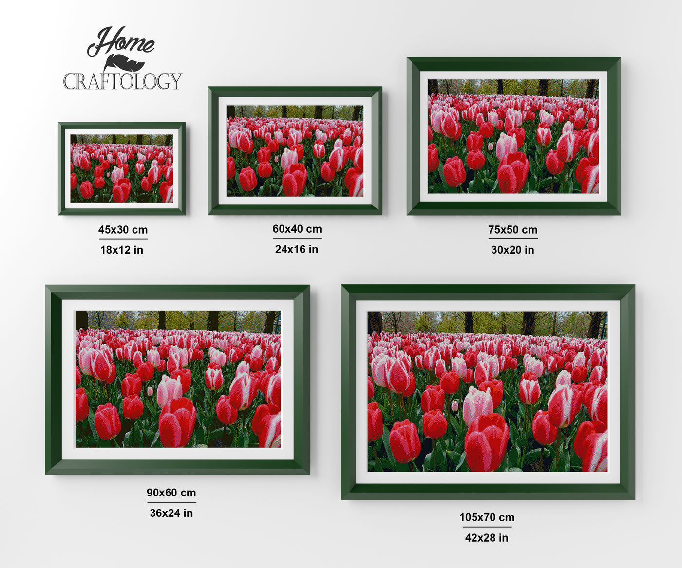 Two Toned Tulips - Premium Diamond Painting Kit