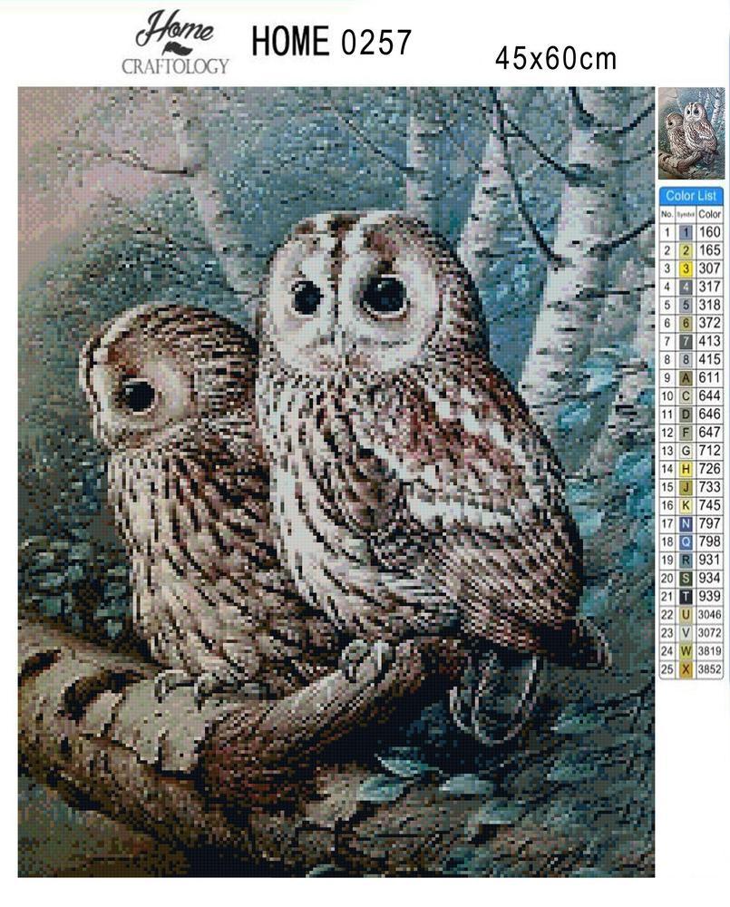 Owl on a Tree - Premium Diamond Painting Kit