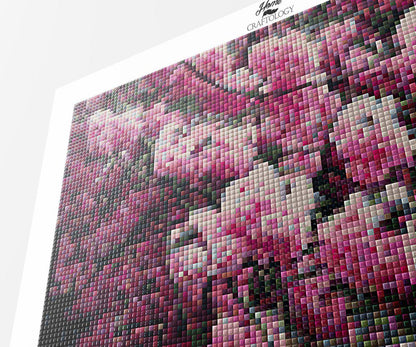 Pink Blossoms - Premium Diamond Painting Kit