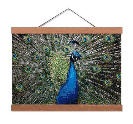 Indian Peafowl - Premium Diamond Painting Kit