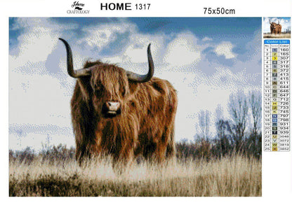 Highland Cattle - Premium Diamond Painting Kit