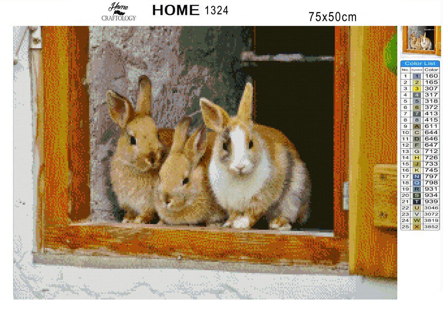 Rabbits - Premium Diamond Painting Kit