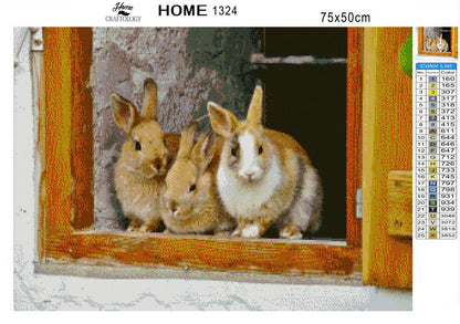 Rabbits - Premium Diamond Painting Kit