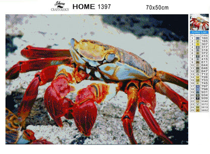 Crab - Premium Diamond Painting Kit