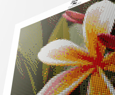 Plumeria Flower - Premium Diamond Painting Kit
