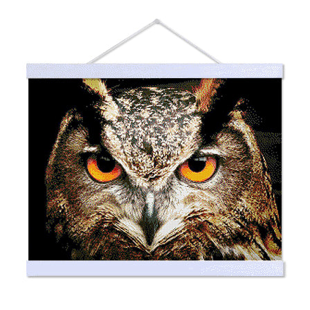 Gaze of an Owl - Premium Diamond Painting Kit