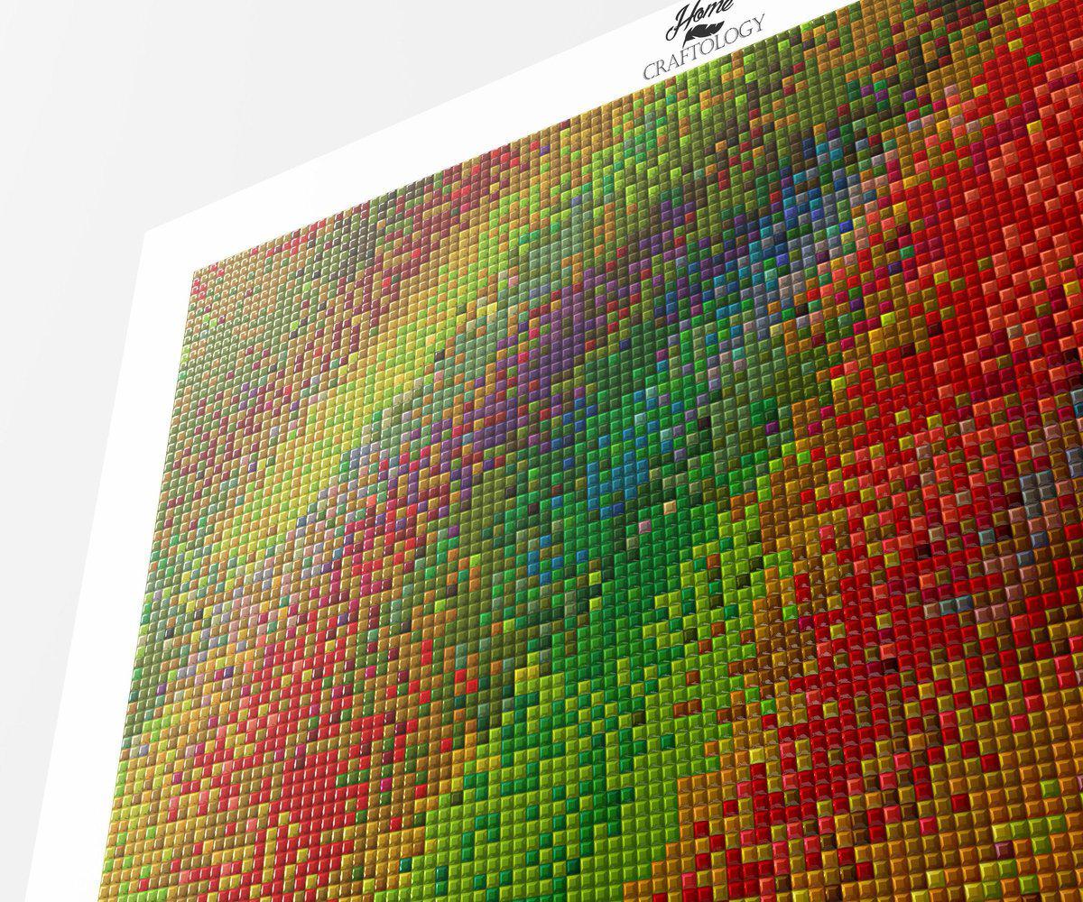 Mixture of Colors - Premium Diamond Painting Kit