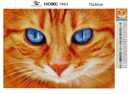 Cat with Bright Blue Eyes - Premium Diamond Painting Kit