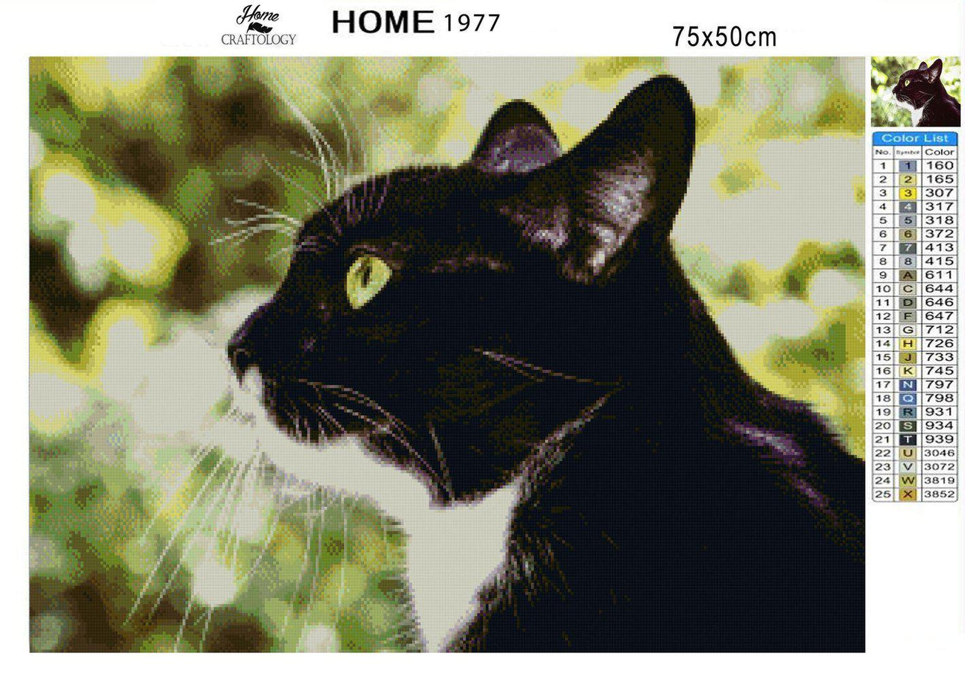 Side View Black and White Cat - Premium Diamond Painting Kit