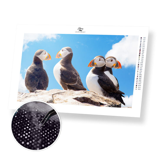 Cute Puffins - Premium Diamond Painting Kit