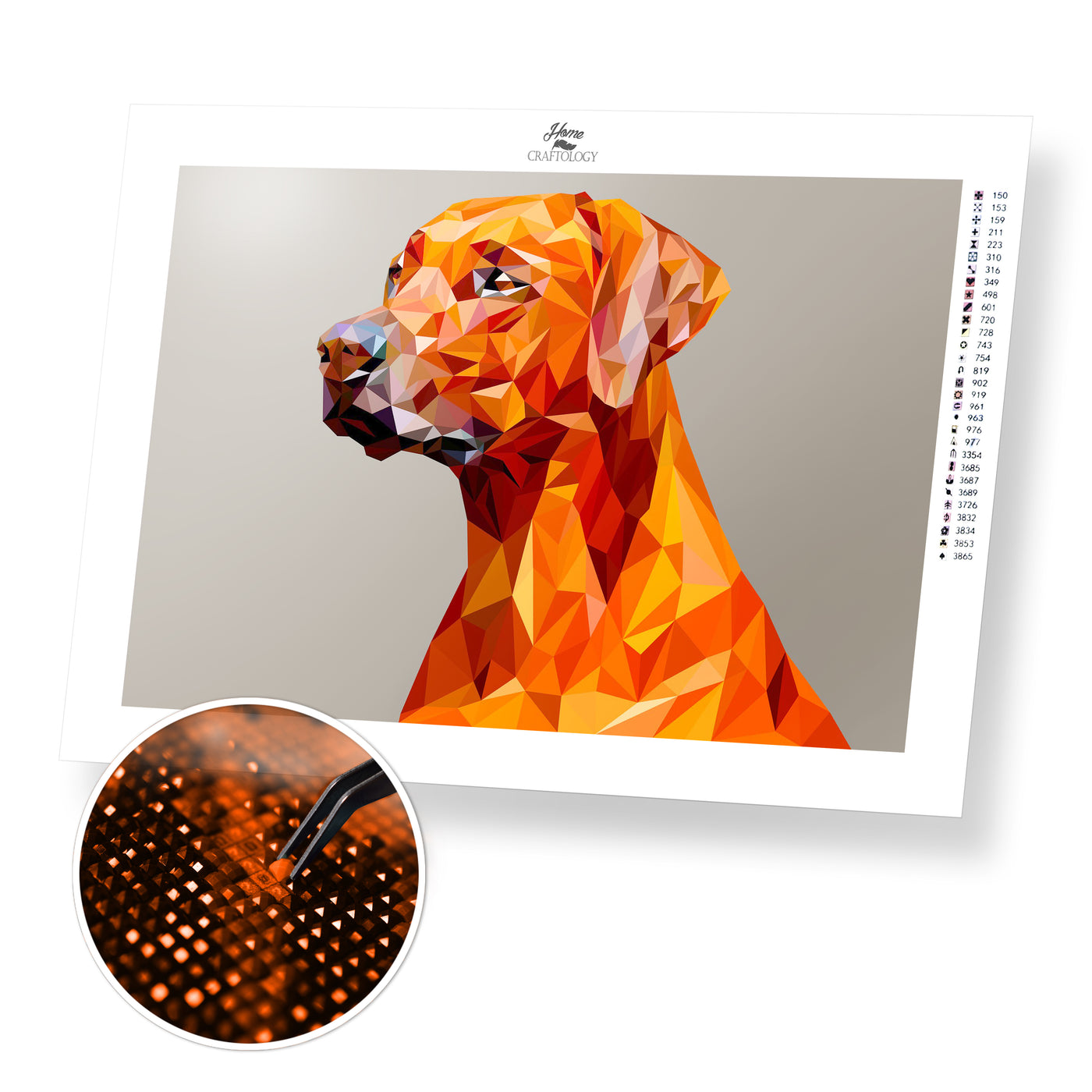 Polygon Dog - Premium Diamond Painting Kit