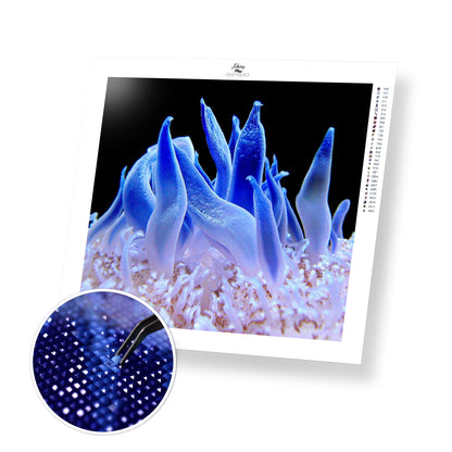 Blue Sea Anemone - Premium Diamond Painting Kit