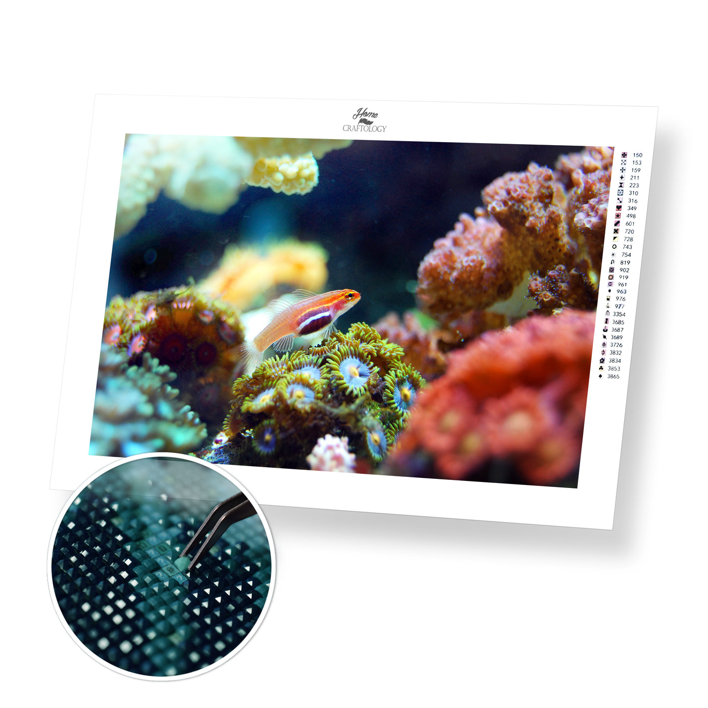 Fish and Corals - Premium Diamond Painting Kit