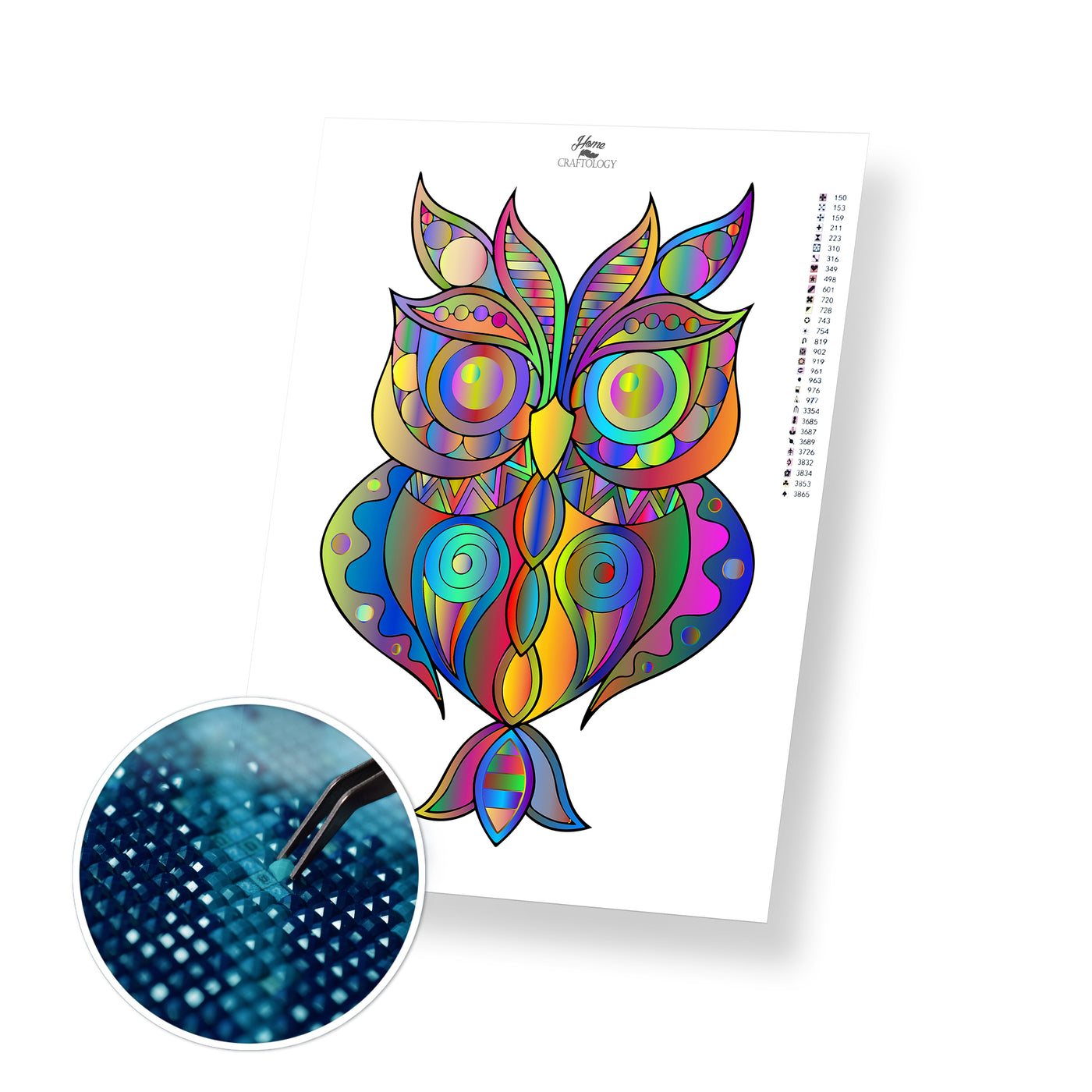 Shiny Owl - Premium Diamond Painting Kit