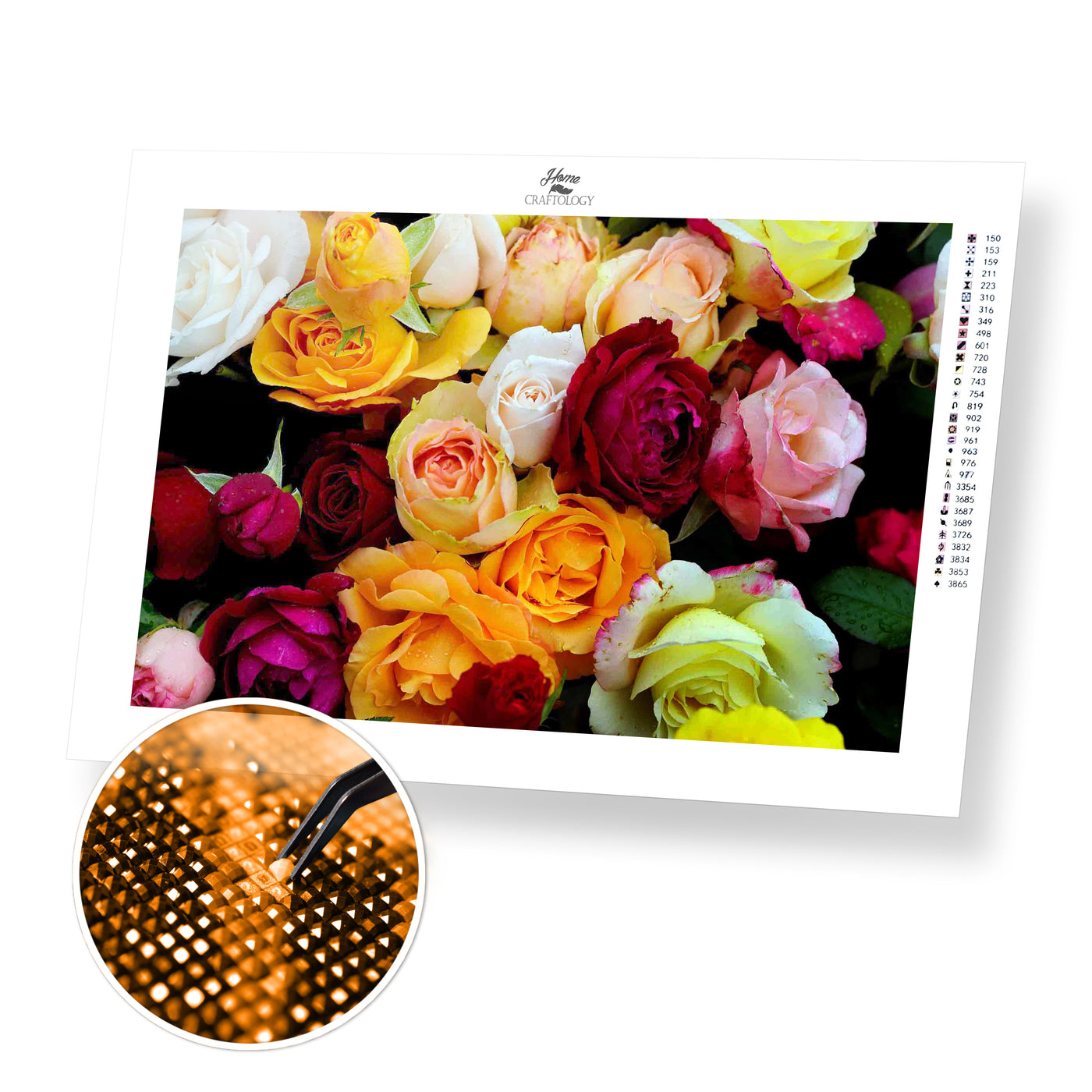 Different Colored Roses - Premium Diamond Painting Kit