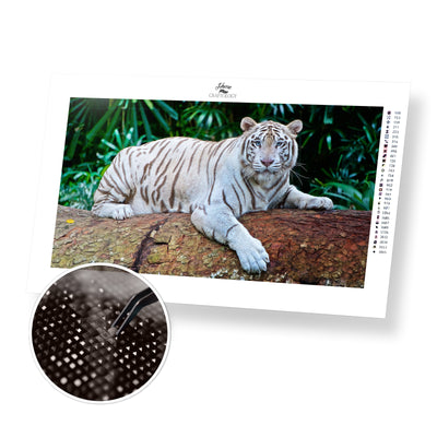 White Tiger - Premium Diamond Painting Kit