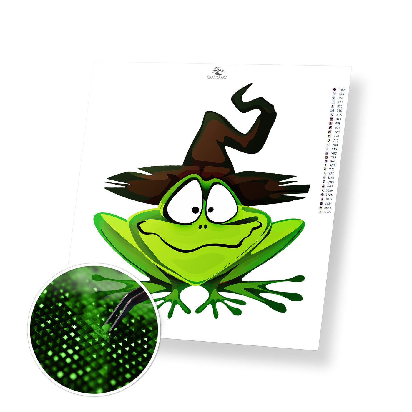 Frog Witch - Premium Diamond Painting Kit