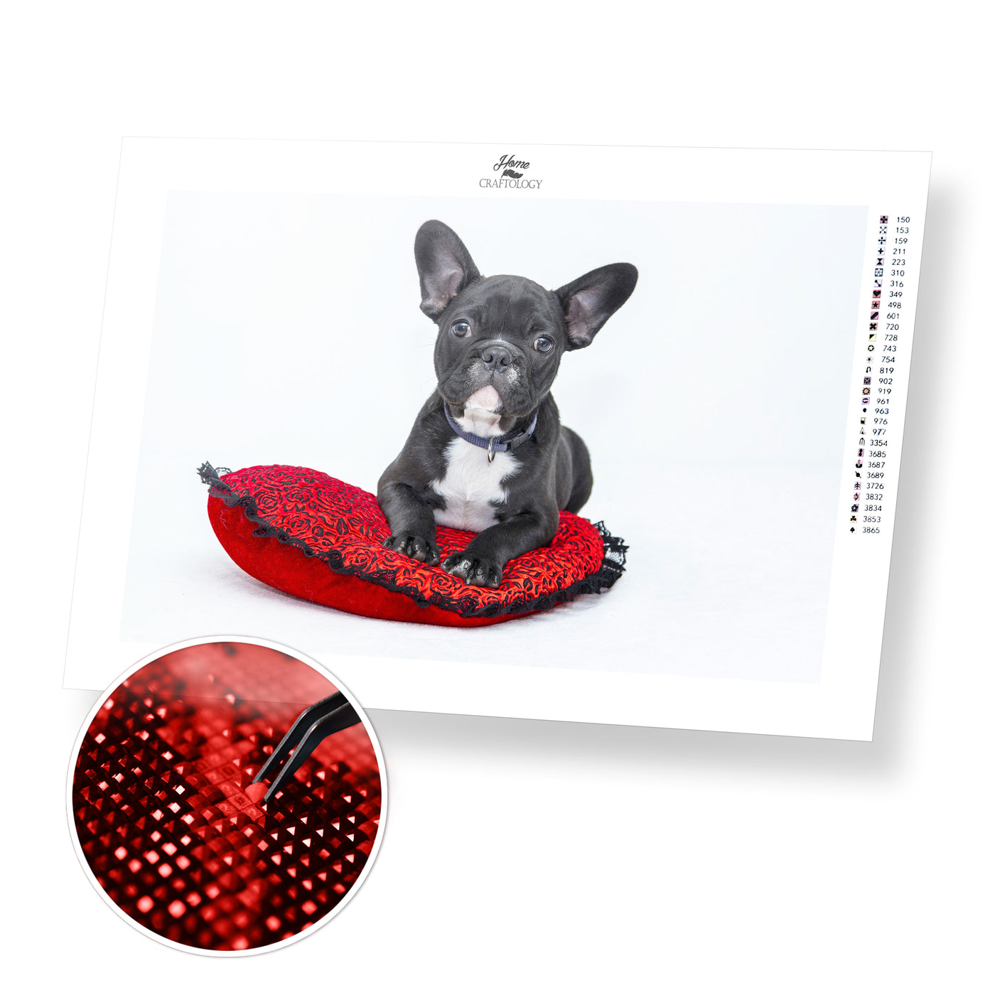 Cute Bulldog - Premium Diamond Painting Kit