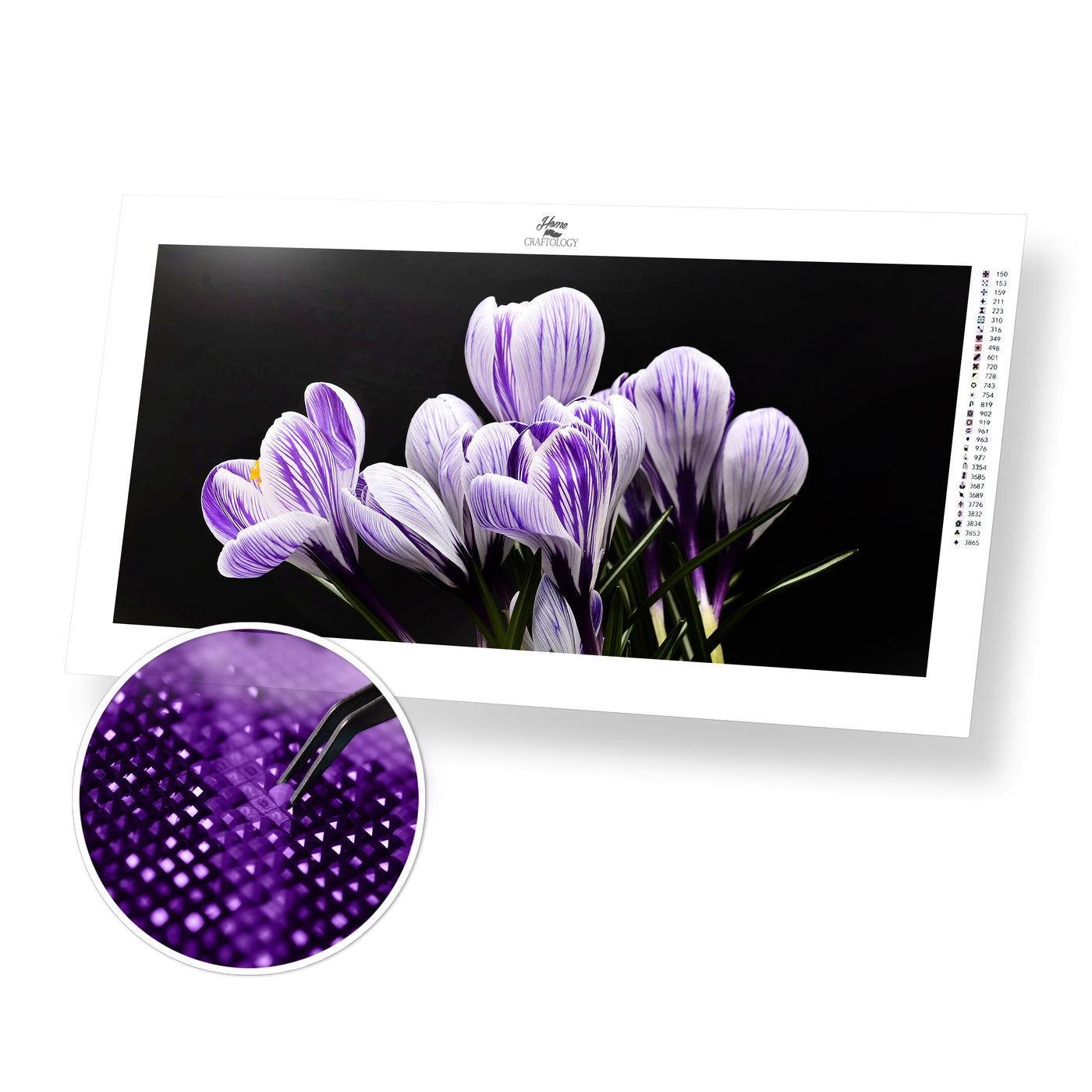 White and Purple Crocus Flowers - Premium Diamond Painting Kit