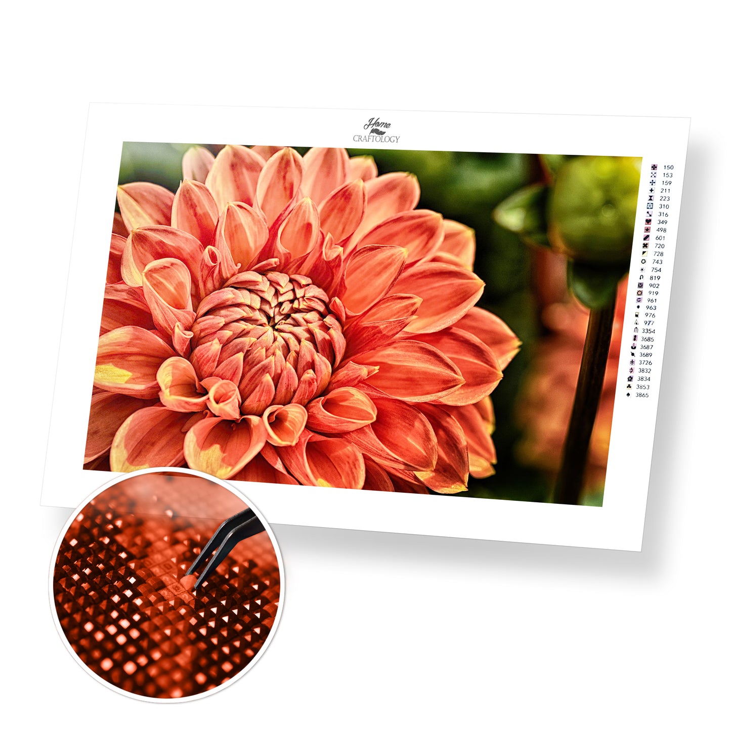 Beautiful Dahlia Close-up - Premium Diamond Painting Kit