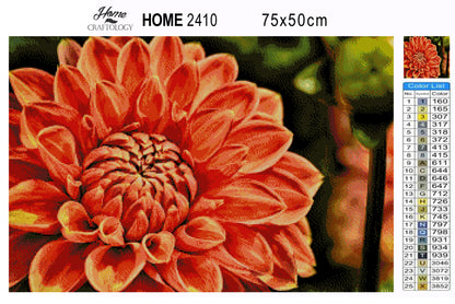 Beautiful Dahlia Close-up - Premium Diamond Painting Kit