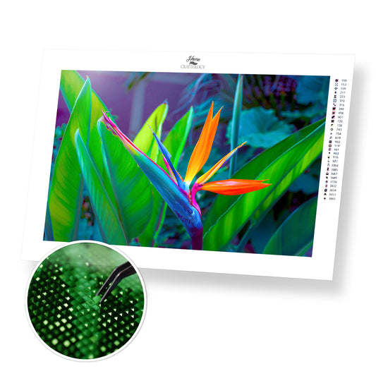 Exotic Flower - Premium Diamond Painting Kit