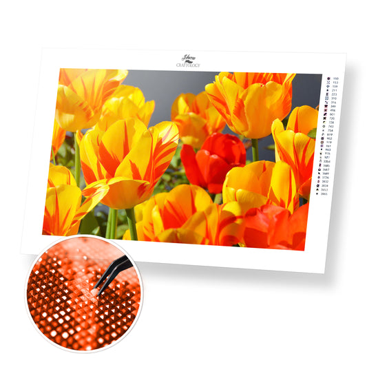 Yellow and Red Tulips - Premium Diamond Painting Kit