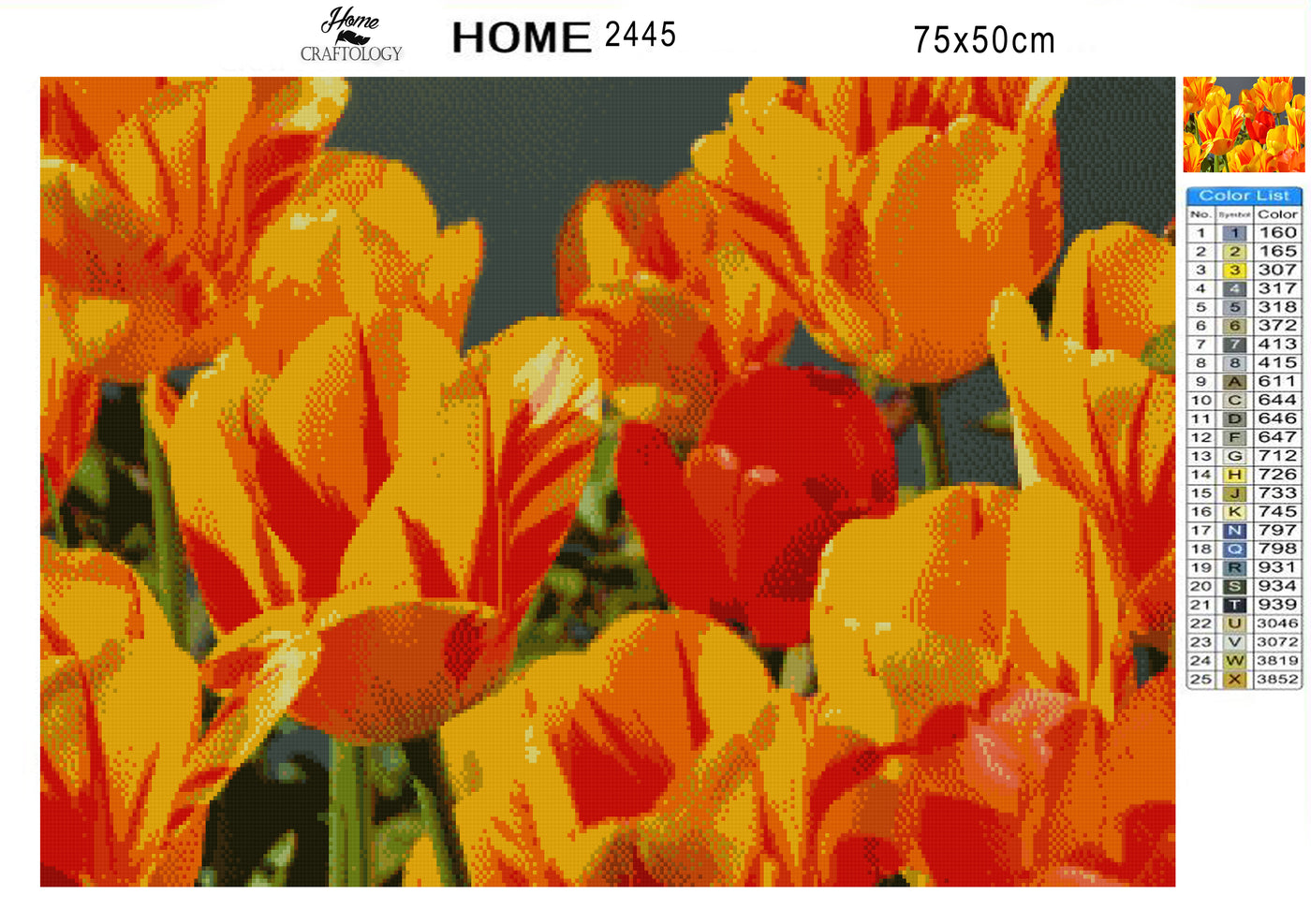 Yellow and Red Tulips - Premium Diamond Painting Kit