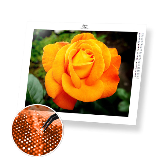 One Orange Rose - Premium Diamond Painting Kit