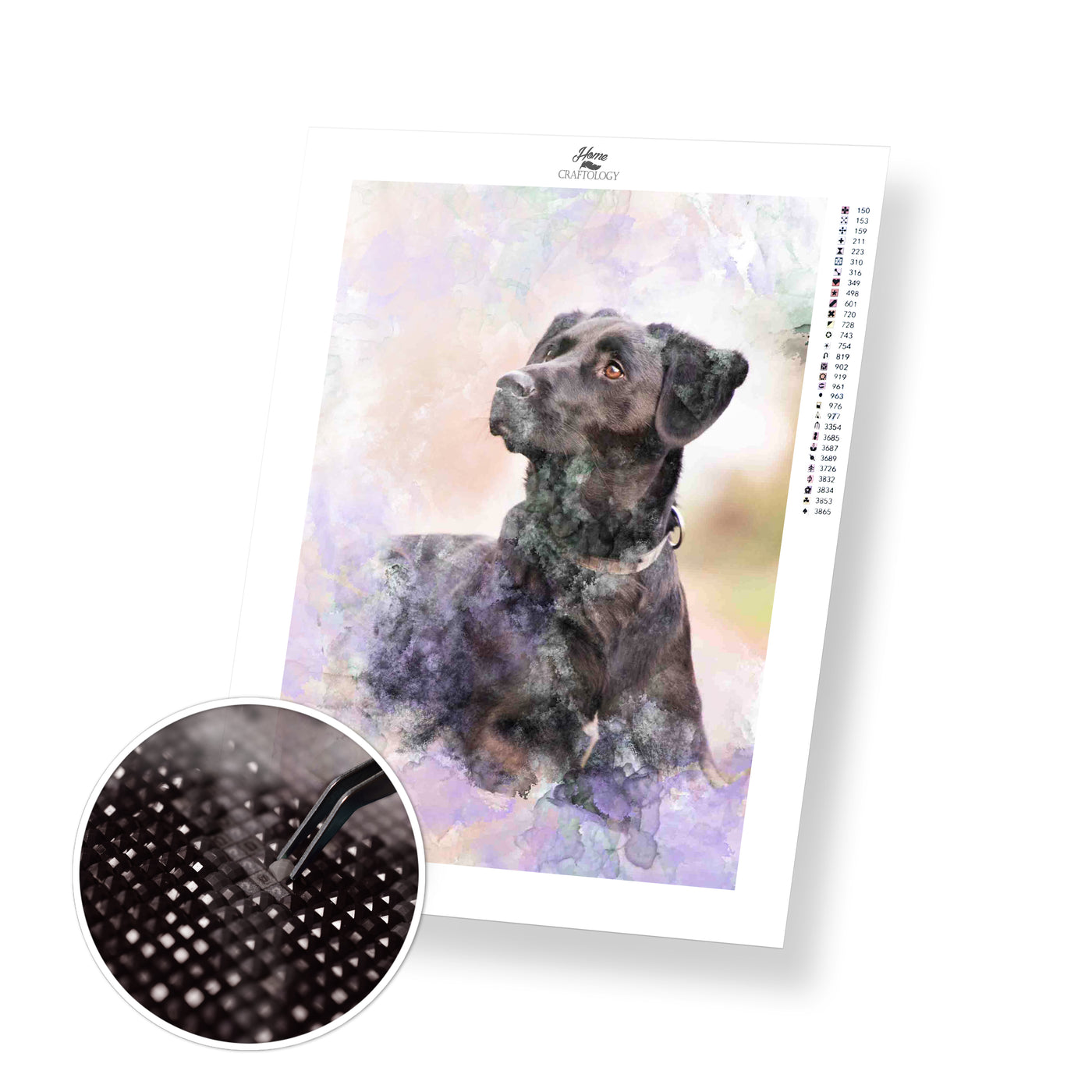 Black Labrador - Premium Diamond Painting Kit