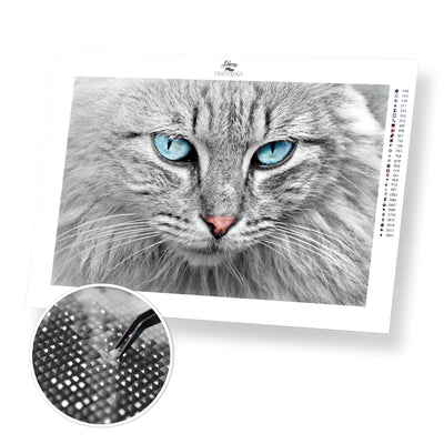 Cat's Portrait - Premium Diamond Painting Kit